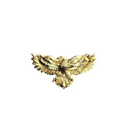 Aquila gioiello dentale