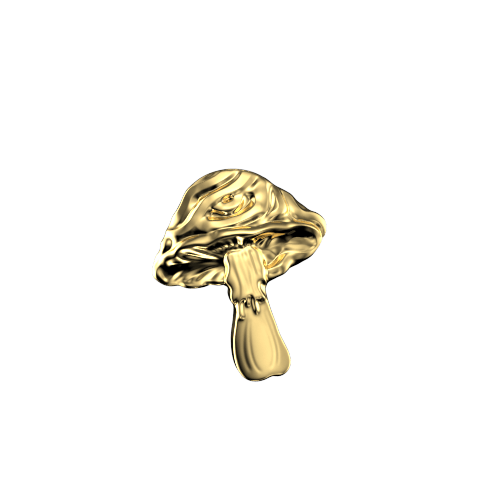 Teeth Jewelry Tooth gems