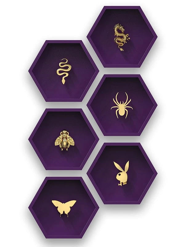 tooth gems animals teeth jewelry