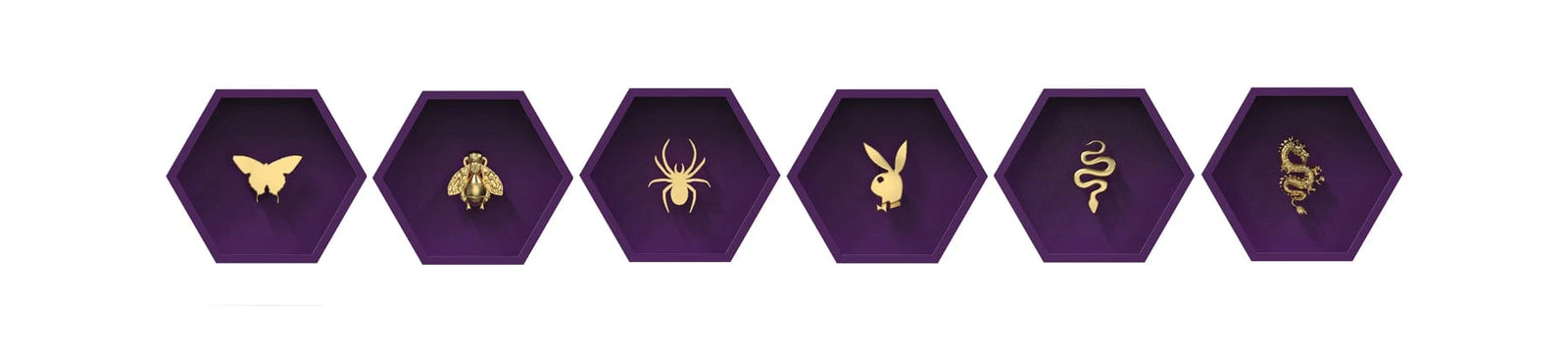 tooth gems animals teeth jewelry