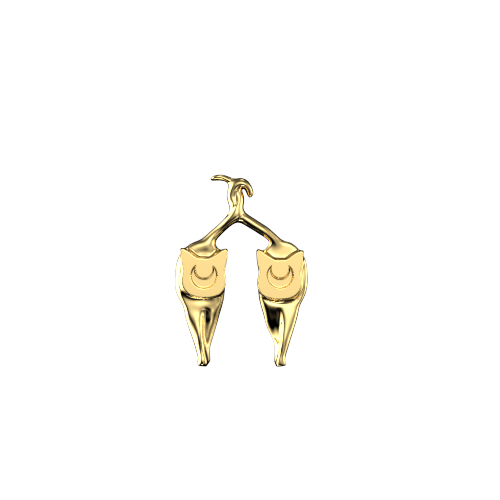 Teeth Jewelry Tooth gems